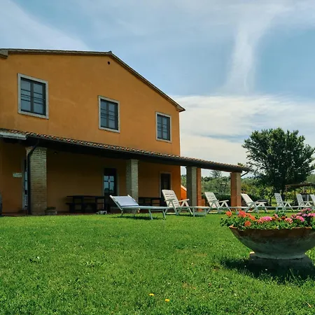 Vakantieboerderij 8380 Il Saragiolo