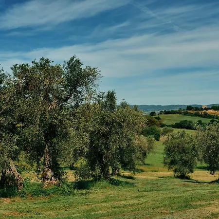 Vakantieboerderij 8380 Il Saragiolo
