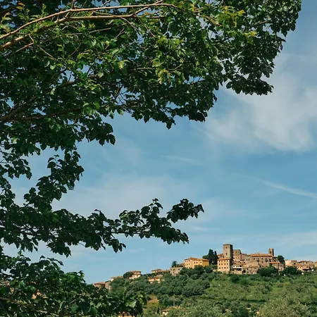 8380 Il Saragiolo Manciano