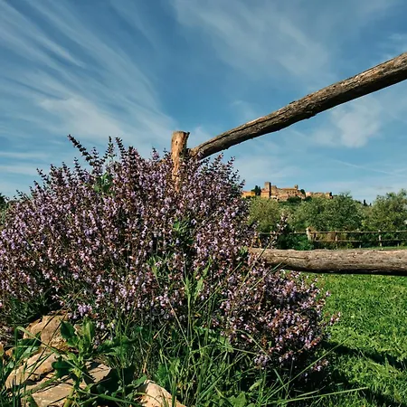 Vakantieboerderij 8380 Il Saragiolo Manciano