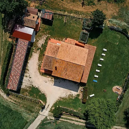 8380 Il Saragiolo