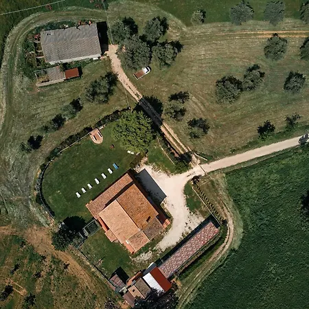 8380 Il Saragiolo *