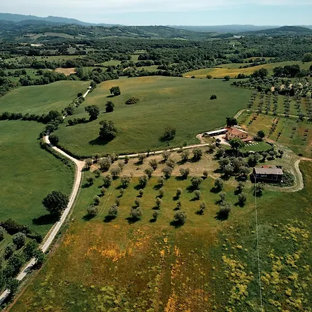 8380 Il Saragiolo *