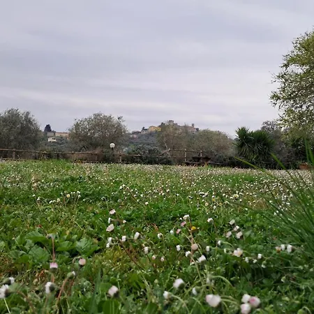 Vakantieboerderij 8380 Il Saragiolo