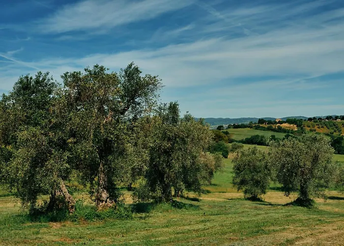 בית חווה 8380 Il Saragiolo