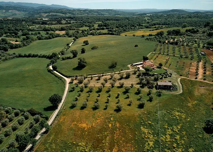 8380 Il Saragiolo *